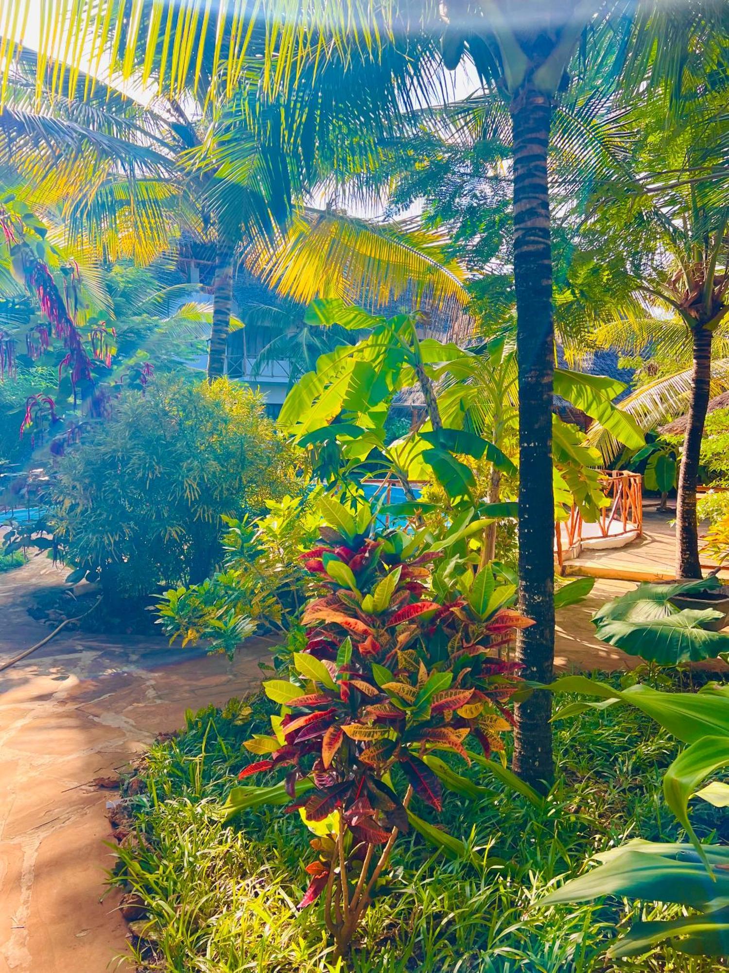 Отель Tropical Нунгви Экстерьер фото