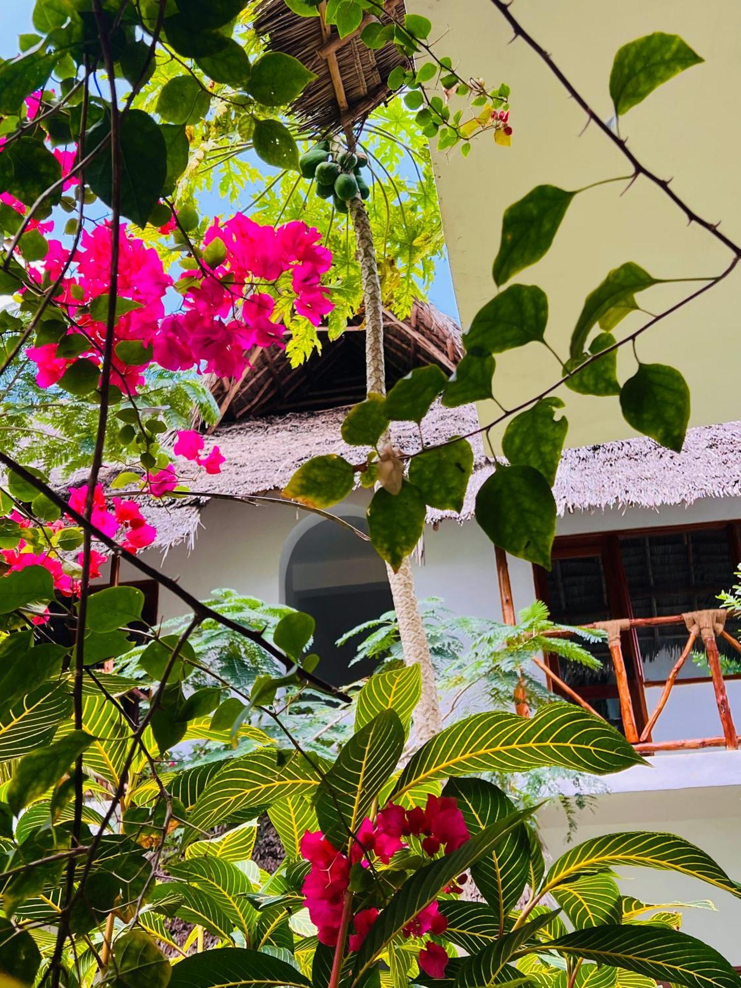 Отель Tropical Нунгви Экстерьер фото