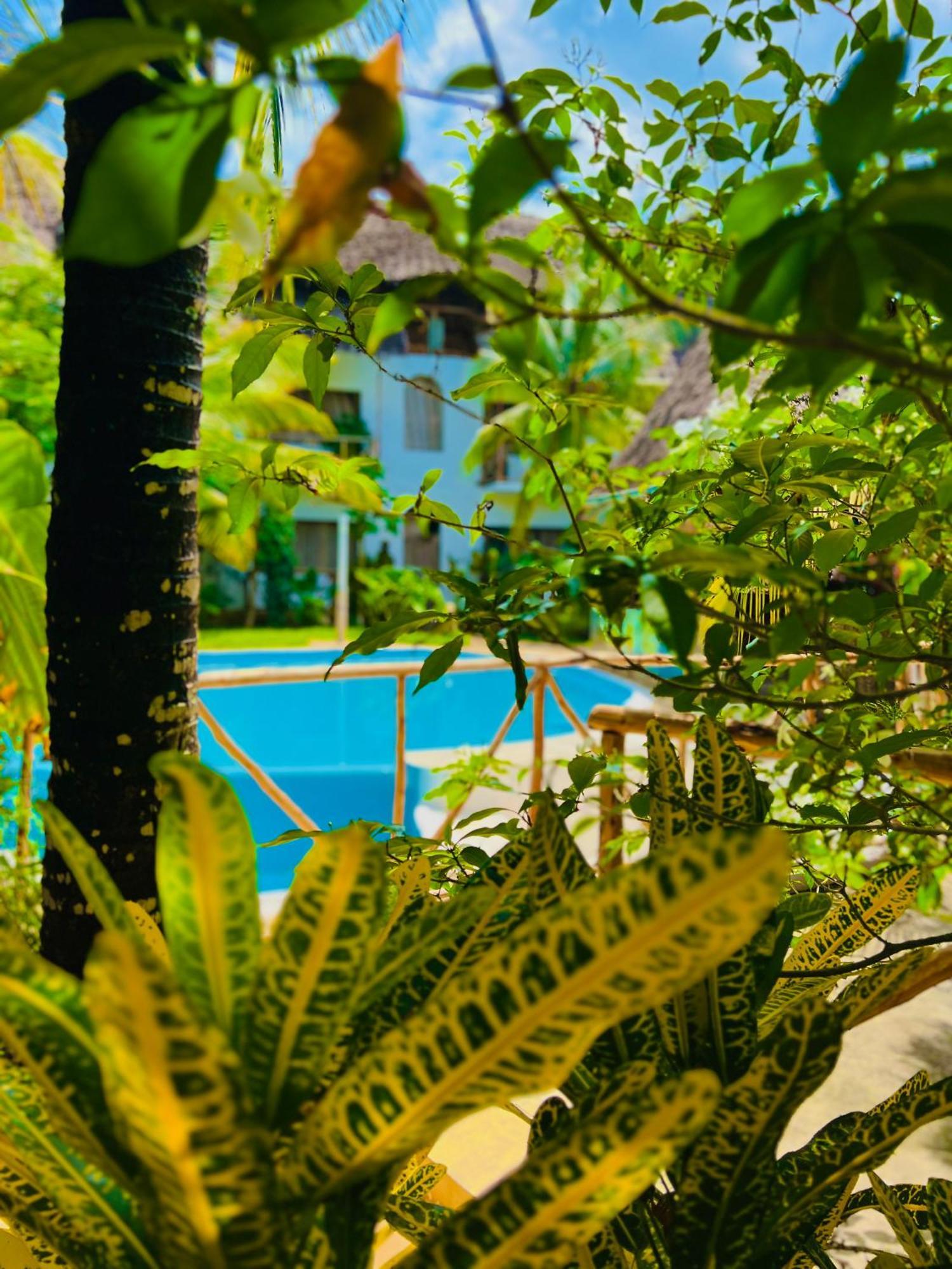 Отель Tropical Нунгви Экстерьер фото