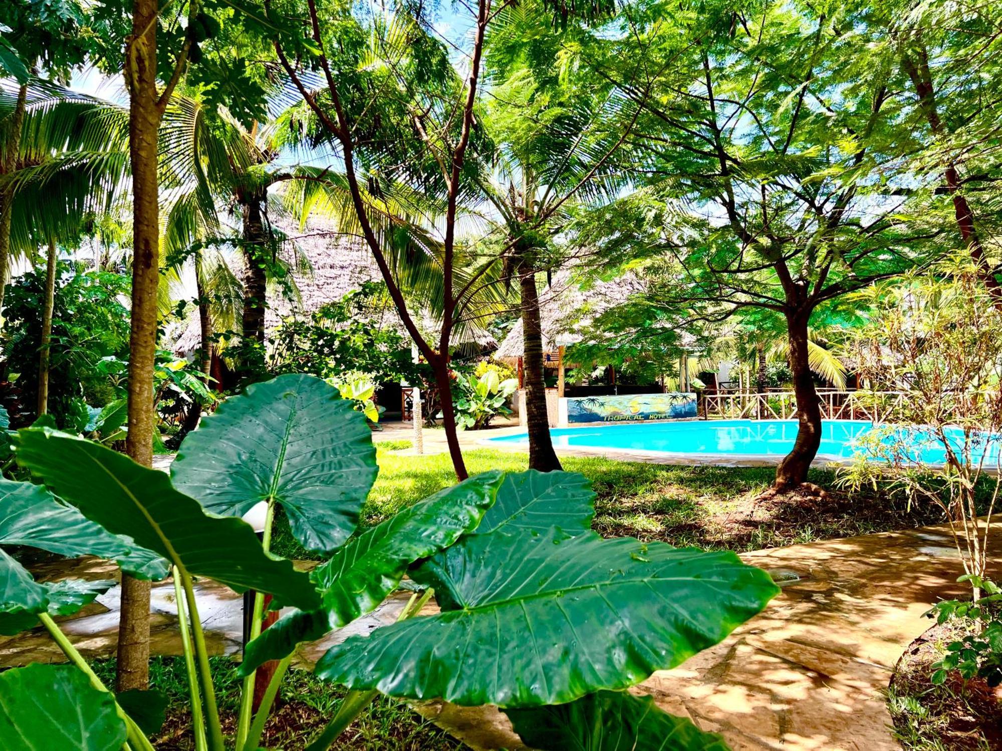 Отель Tropical Нунгви Экстерьер фото